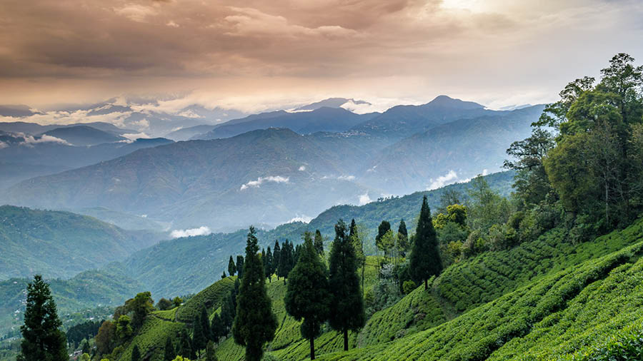 Kalimpong travel packages 